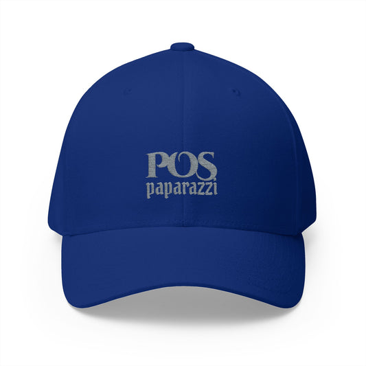 Grey Paparazzi POS Closed Back Cap